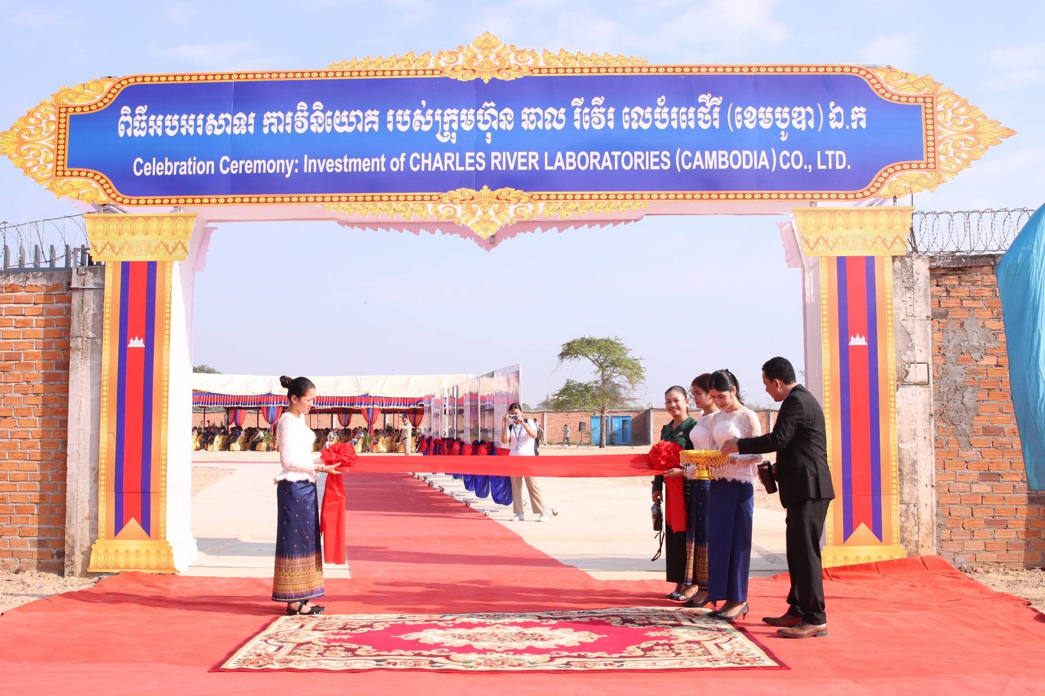 615714593 1190186263290608 8379461856333678126 N