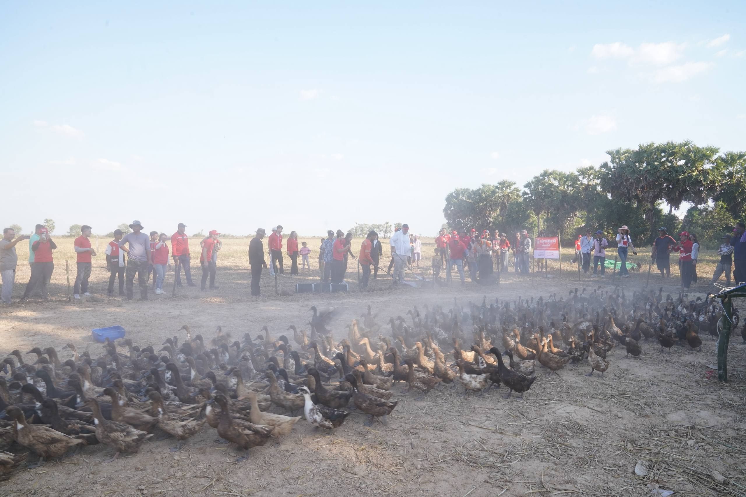 Photo 2026 01 23 16 11 43