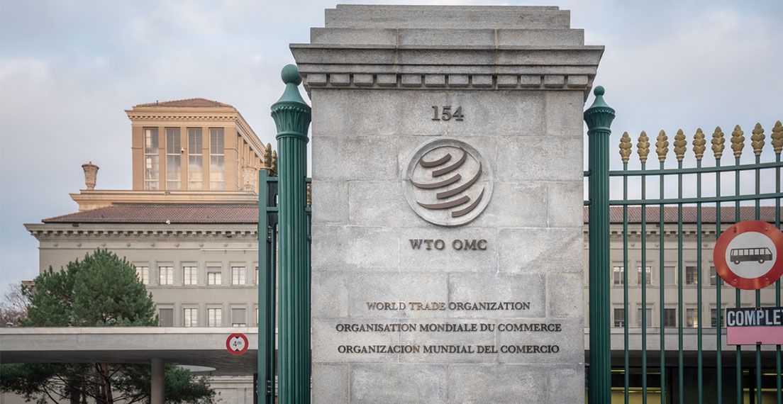 Wto Matters Header Image