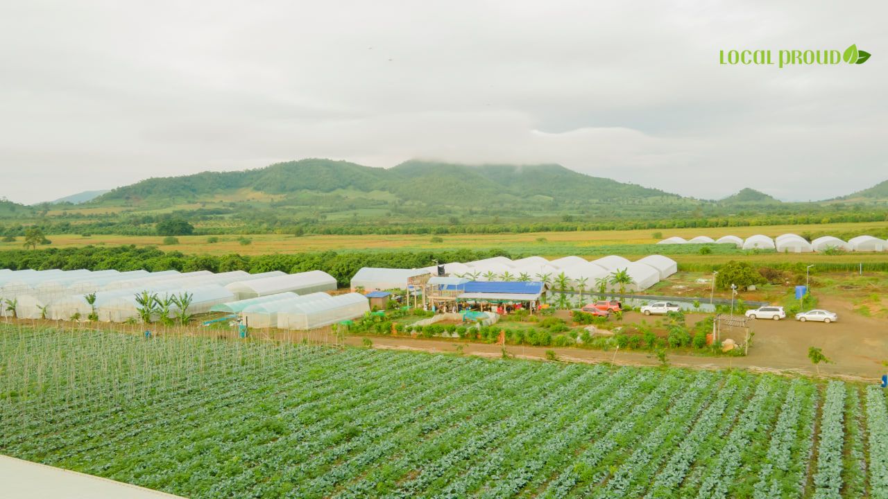 Photo 2025 11 12 16 52 41