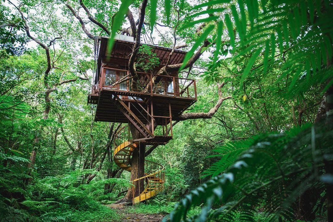 Treeful Treehouse 8