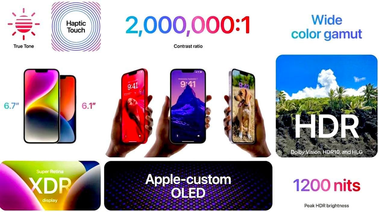 302165497 3282549565293182 4646934739661015364 N
