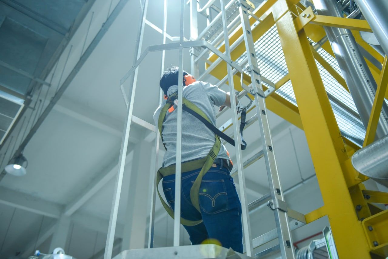 Photo 2022 11 04 08 58 29