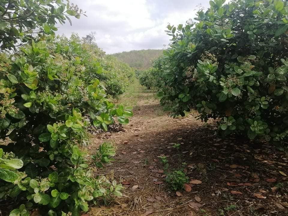 150420985 3771358496241257 5462399882018551011 N