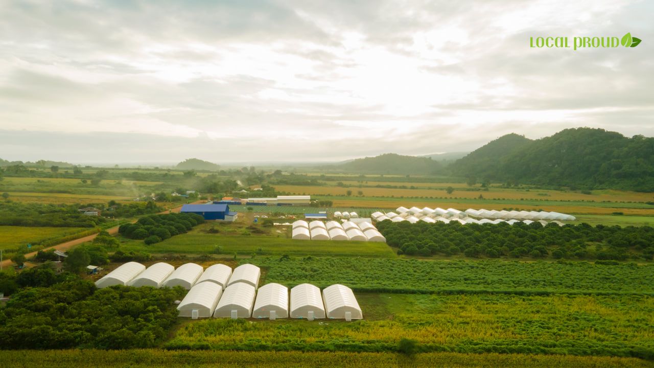 Photo 2025 11 12 16 52 25