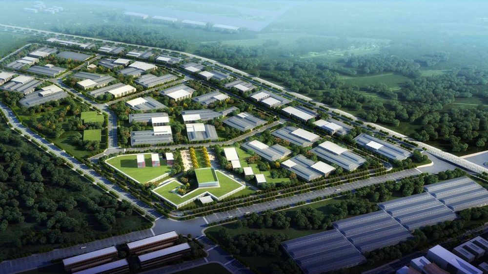 Special Economic Zone Feature