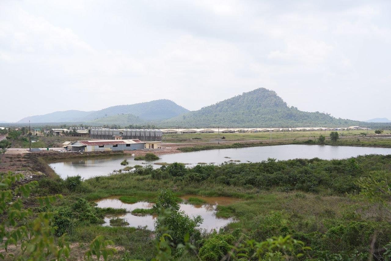 677614767 1263440625962093 7739840502627195779 N