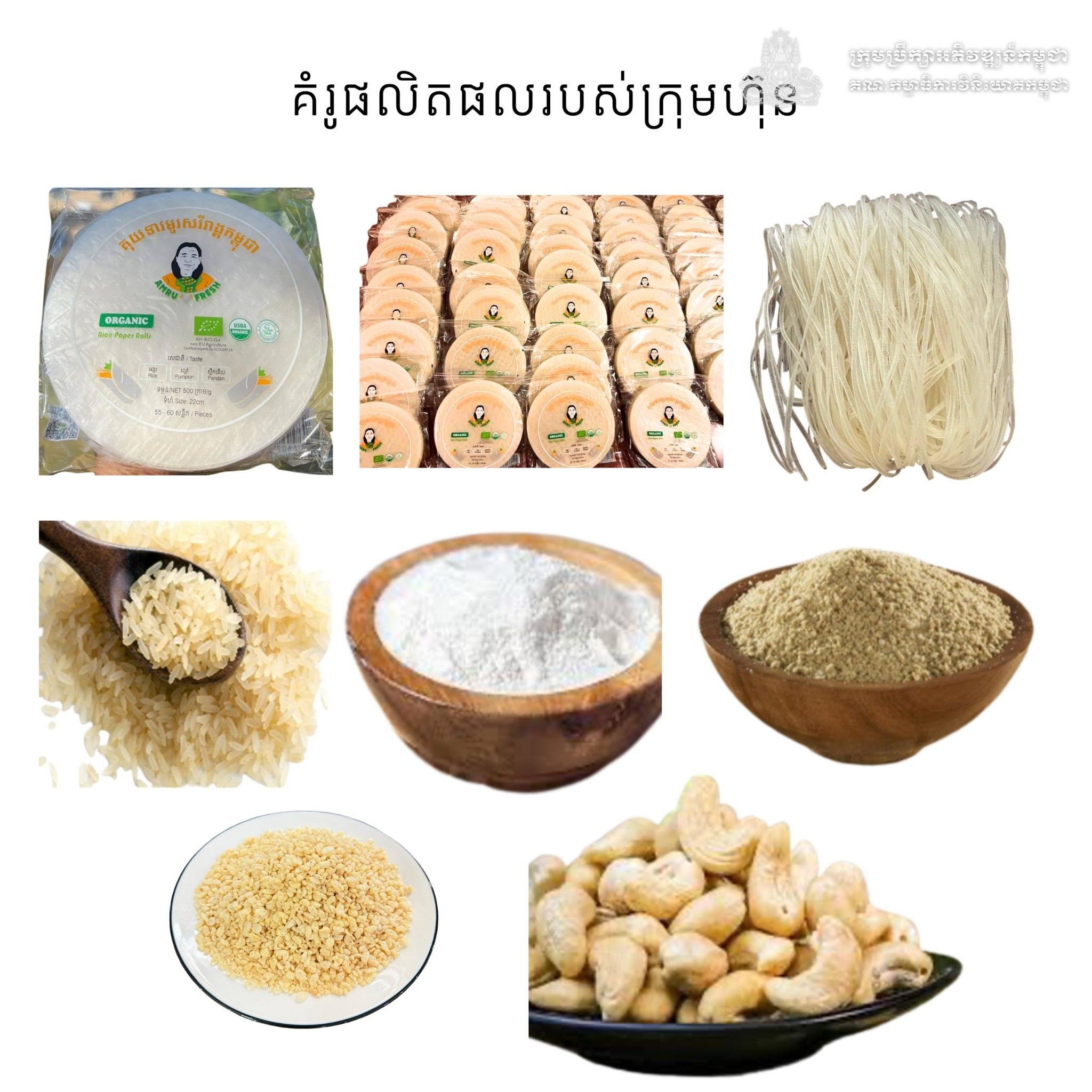 582554518 1305773654914231 7534383397619060624 N