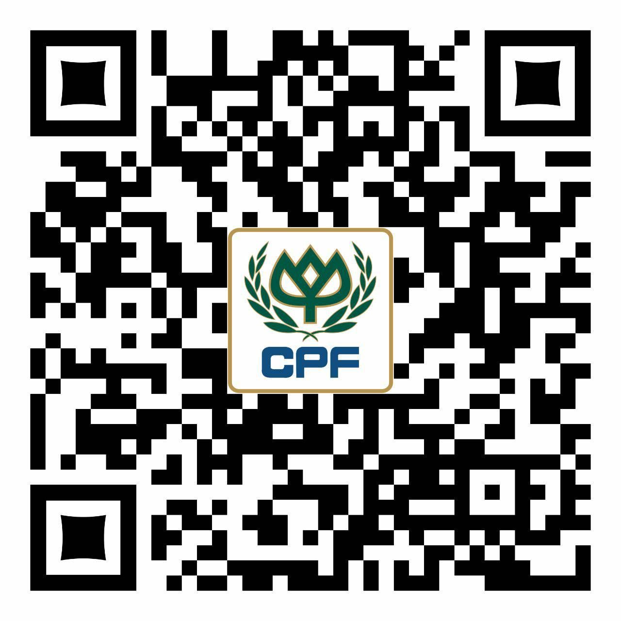 Cp Cambodia YouTube Qr Code