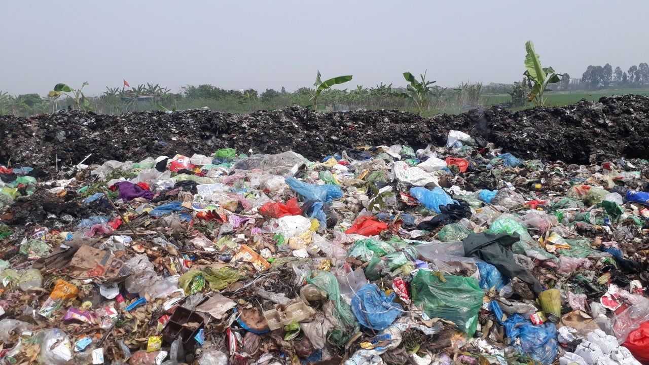 169063682 294677215378901 1499070729438995738 N