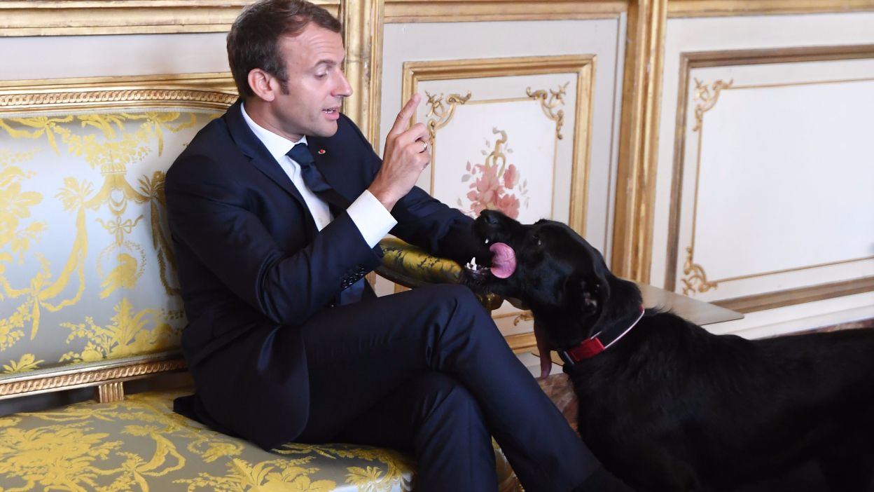 Hero Image.fill.size 1248x702.v1623366664