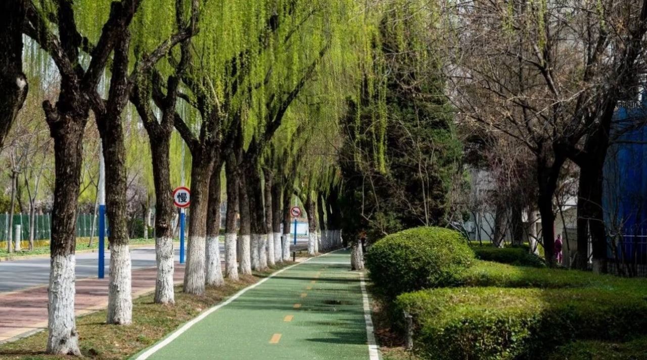 Photo 2026 02 10 10 40 16