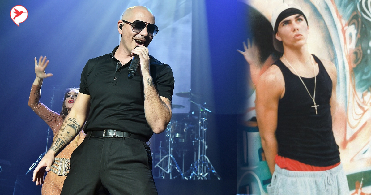 Pitbull ៖ពីក្មេងញៀនថ្នាំម្តាយដេញចេញពីផ្ទះ ...