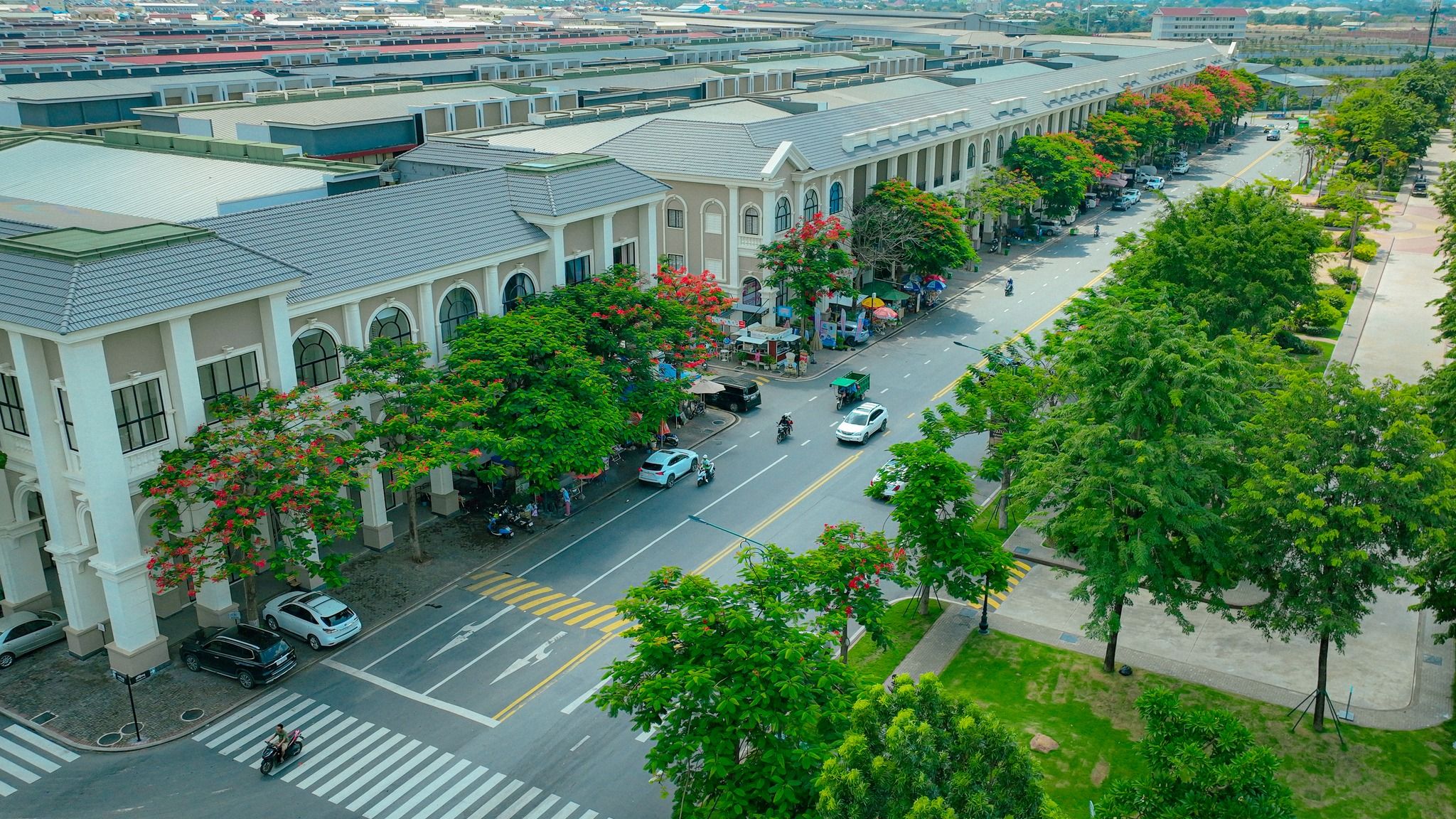 500110039 1264665965256004 2207738890628366821 N