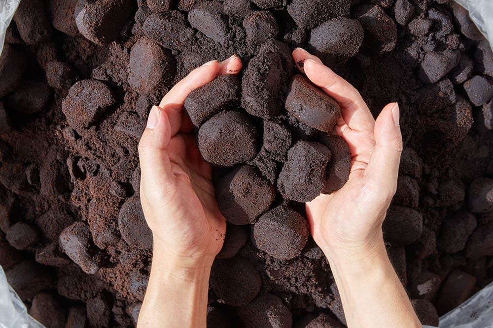 Hand Showing Used Coffee Grounds Runrun2 Shutterstock