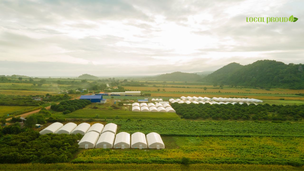 Photo 2025 11 12 16 52 31