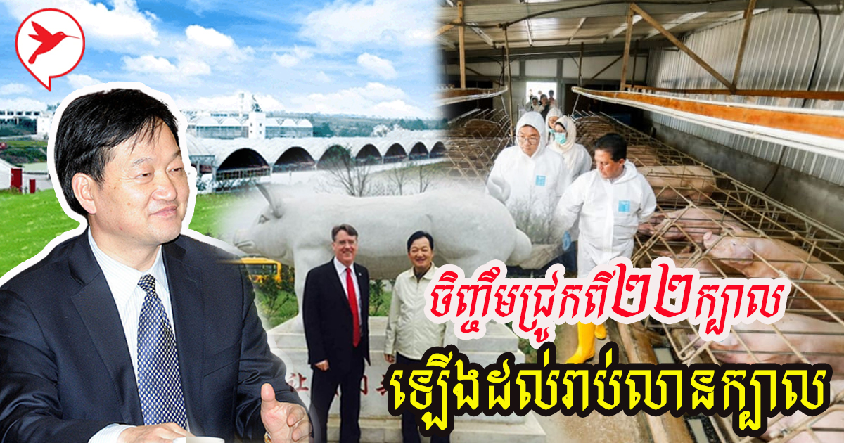 សេដ្ឋីជ្រូក Qin Yinglin កើនទ្រព្យ៣៥ពាន់លាន$/ឆ្នាំ ព្រោះរកស៊ីឆ្លាតវៃ
