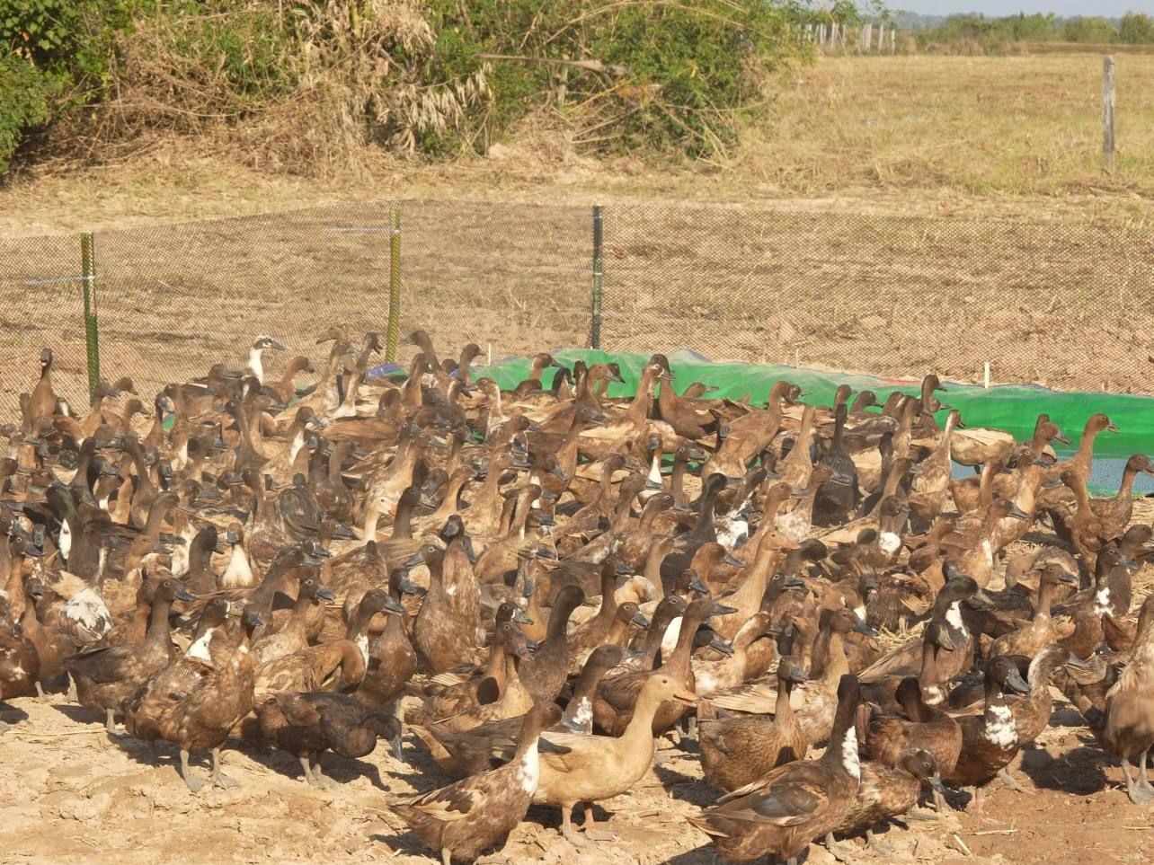 Photo 2026 01 23 16 11 40