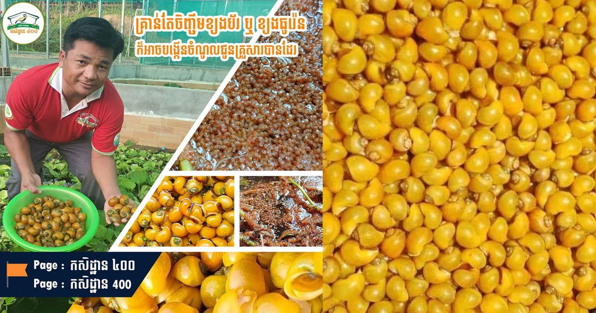េឹថដសចខ​
