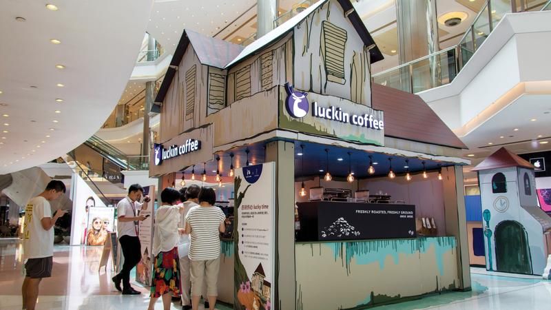 428434 136954 800 Auto Jpg