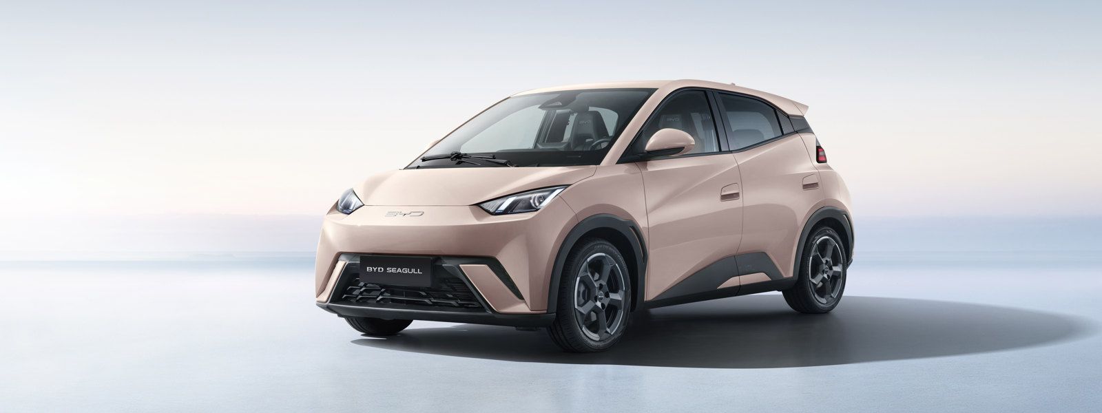 20230315海鸥基础图5893a002高配 蜜桃粉