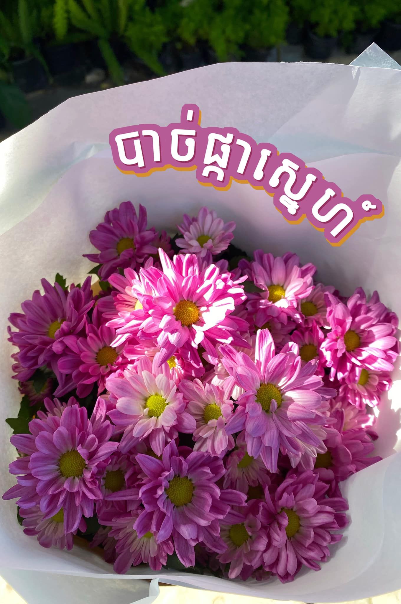 ១១
