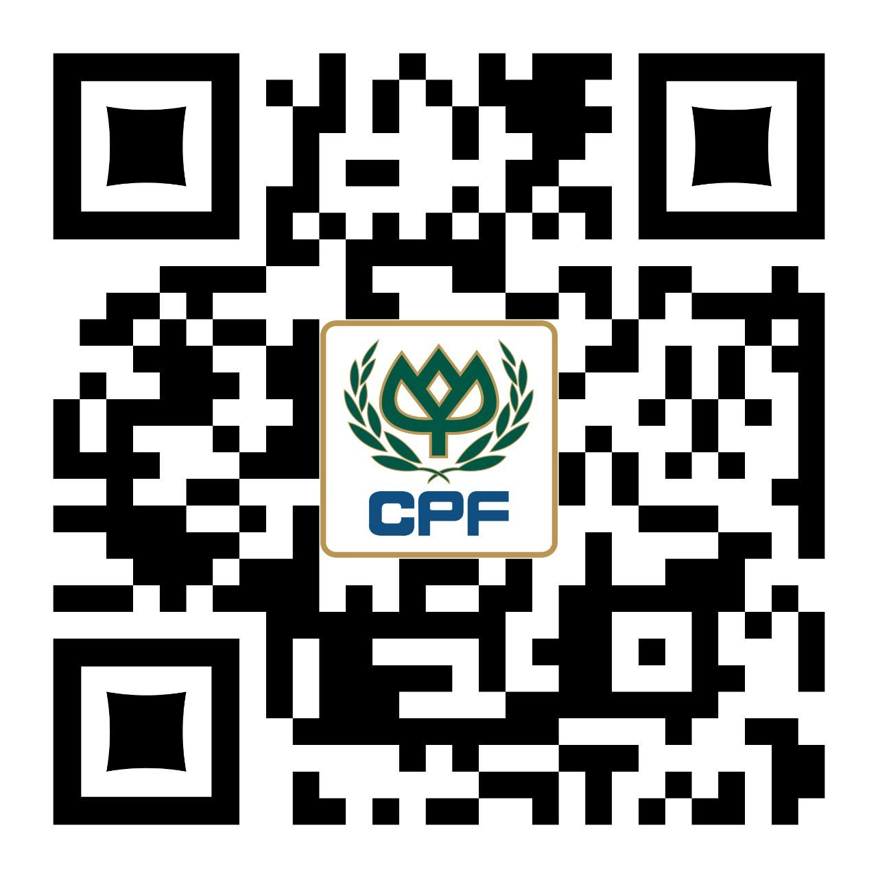 Qr Code Web Site Cp Cambodia