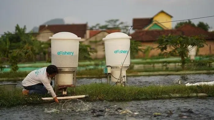 73. E Fishery Launches New Mobile App for Its Partners
