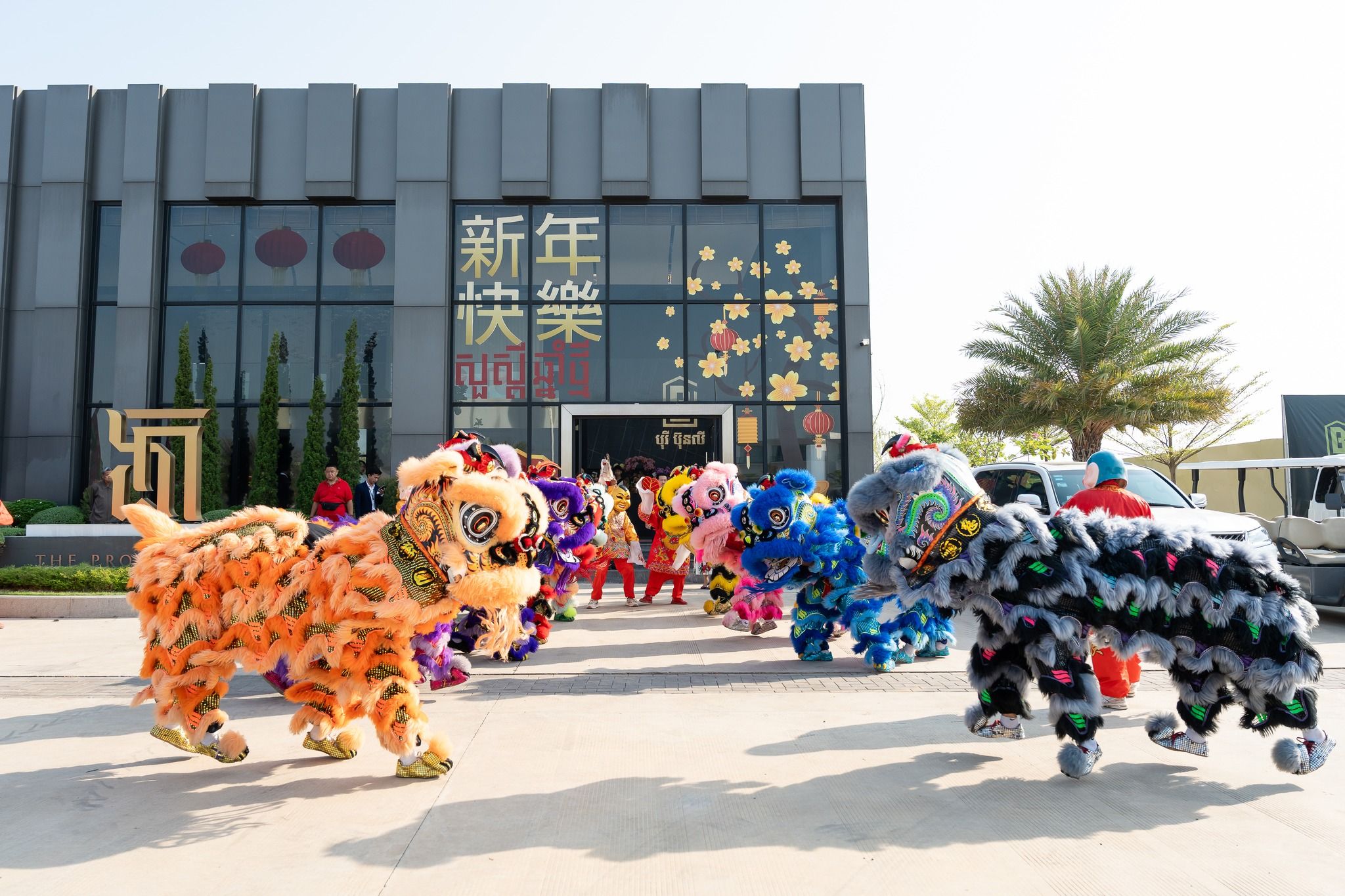 650981429 923993280268722 459121072972647792 N