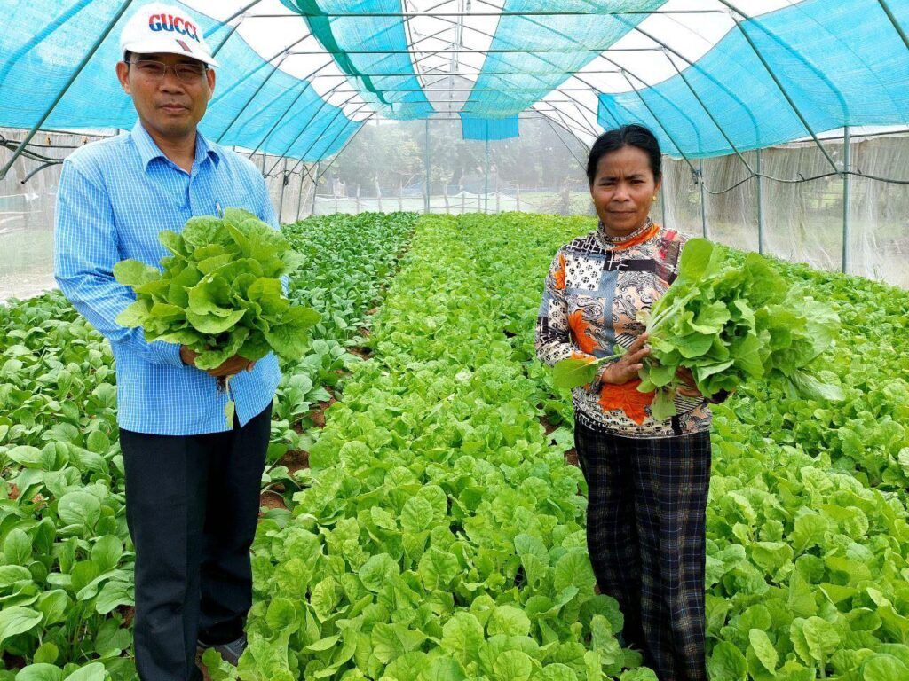 E159ba60 Cb1c 49ee 8f16 9f409cb49904