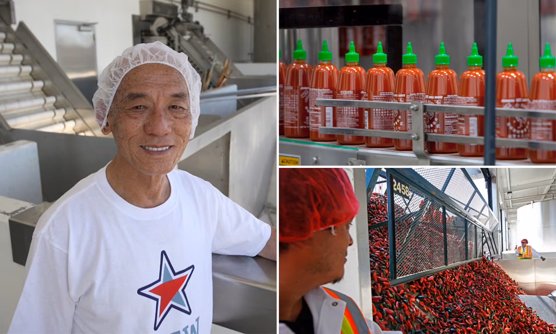 74b49c5b 8a65 40c9 8447 94d911ec0d16