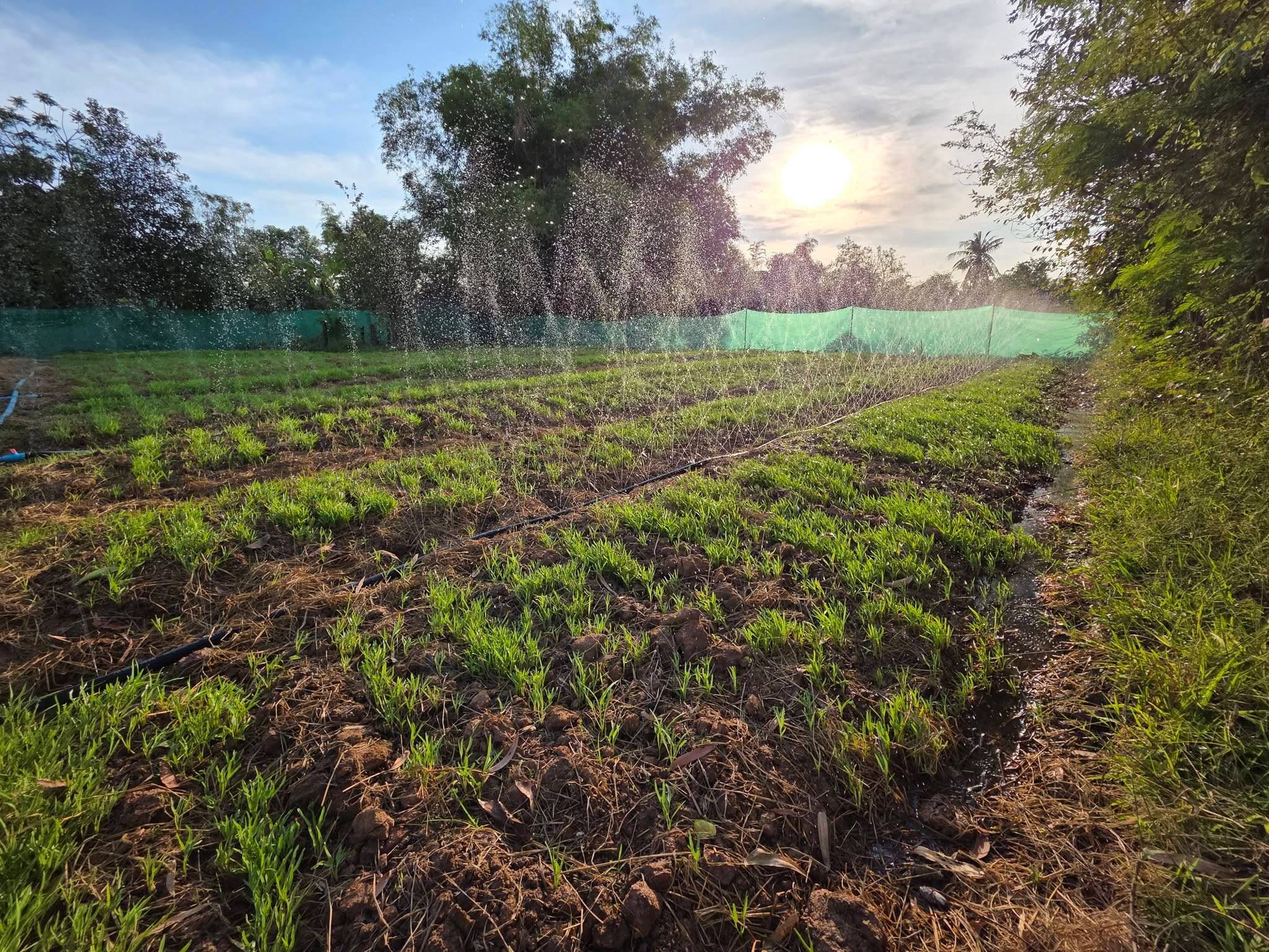 Photo 2026 01 23 16 11 52