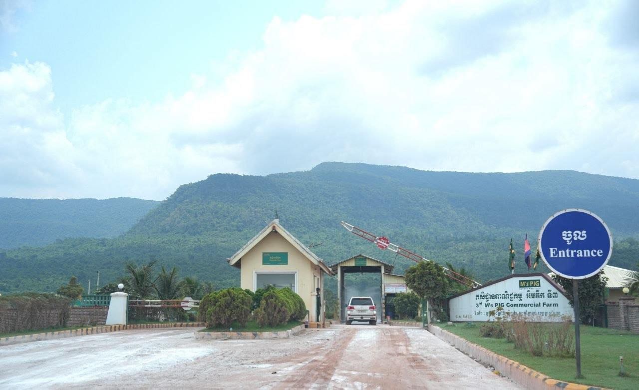 679436218 1263440372628785 5035349143257373924 N