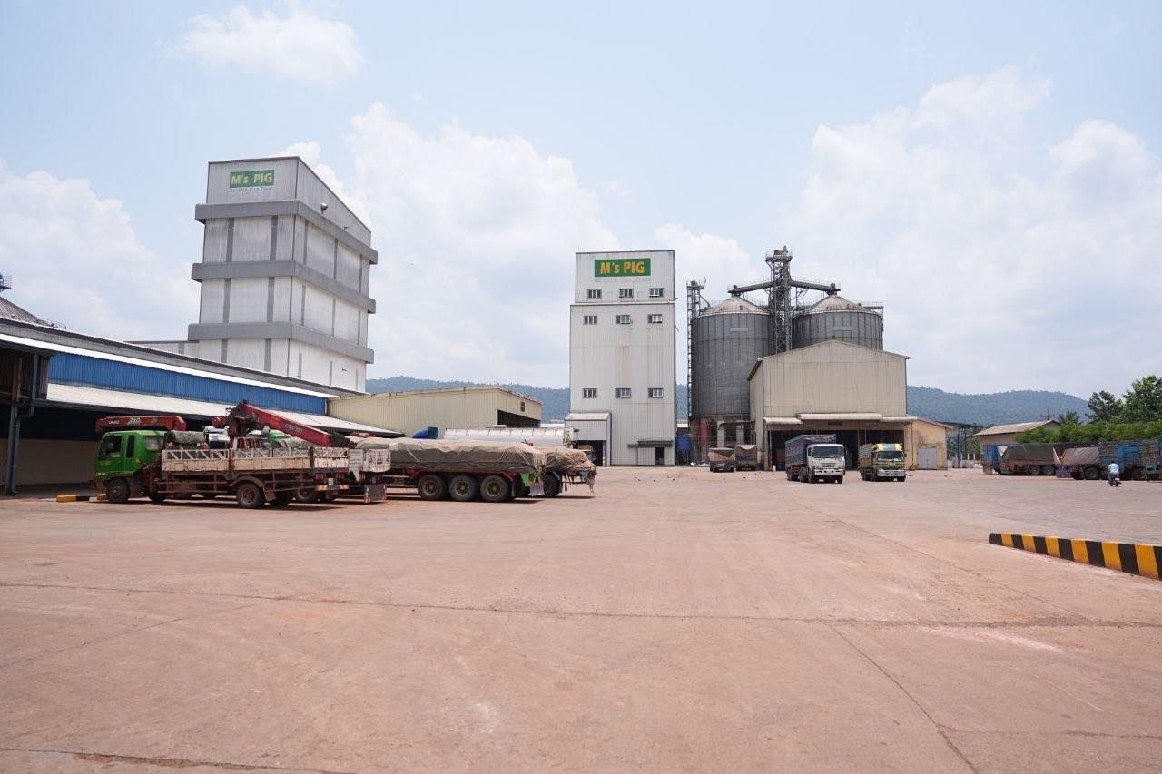 679101016 1263440335962122 2250079460881935170 N