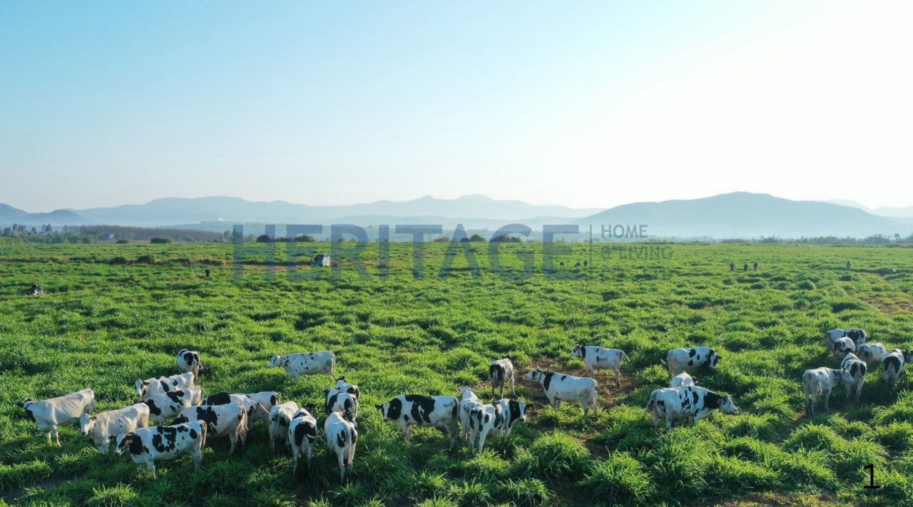 Photo 2026 01 31 08 50 40