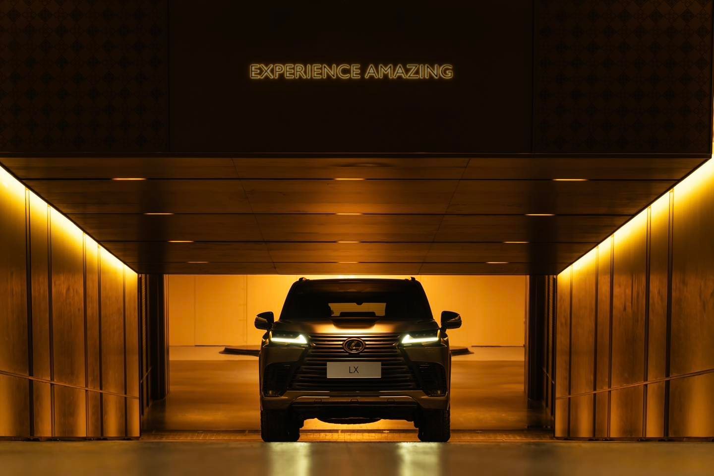 5595190f D9cb 4c94 94bb 3cdcc42caabe.jpg