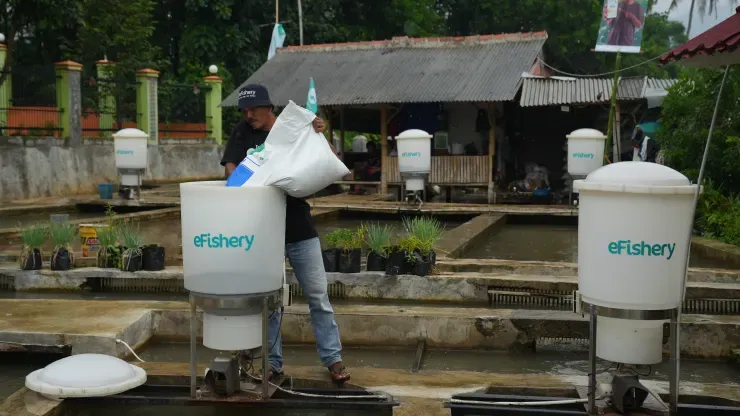 107183510 1674633482235 Gettyimages 1242114936 Indonesia Fish Farm