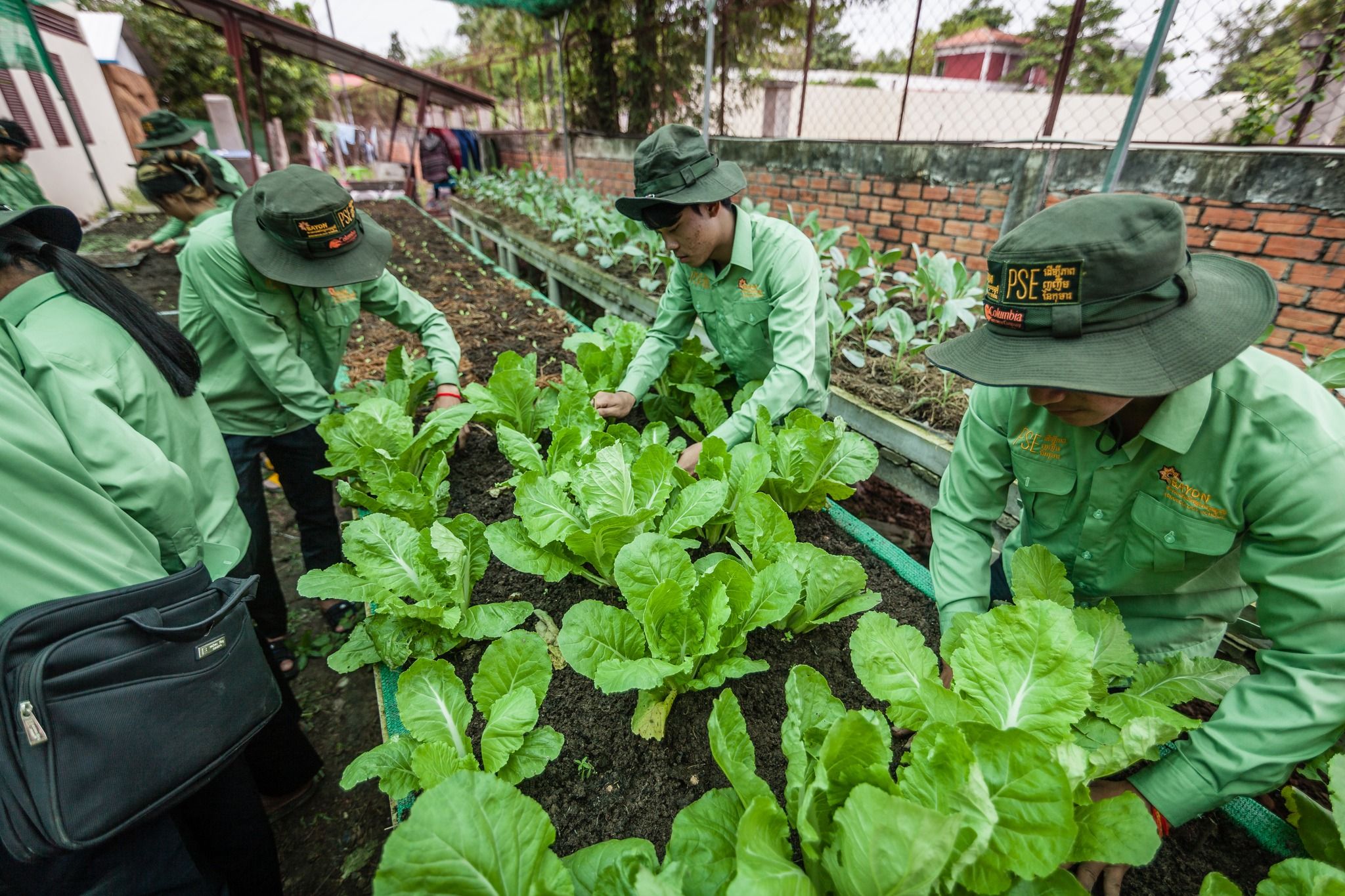 315880280 519554003534417 4143219251113574446 N