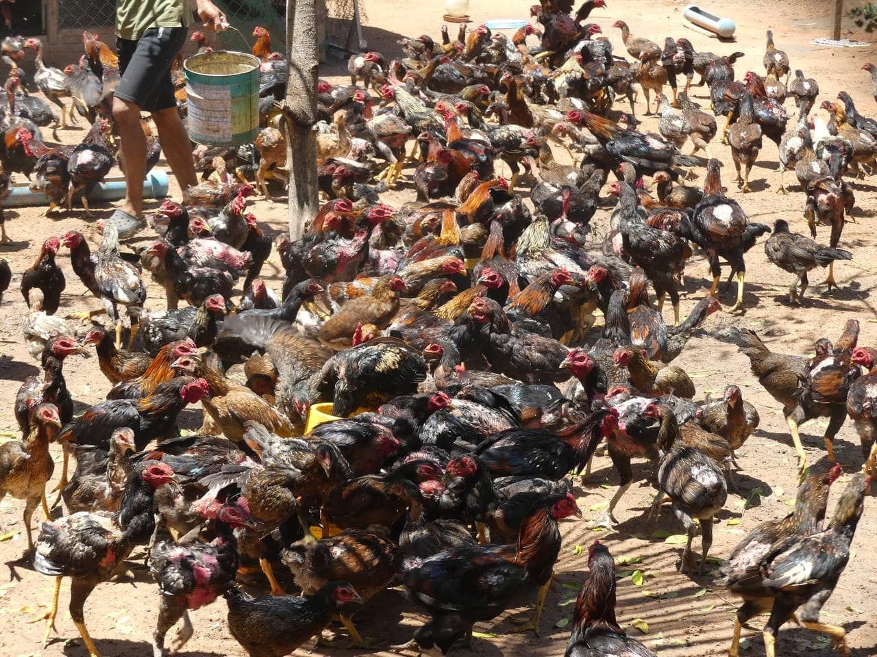 299843581 5676172642439340 7714516322855557865 N