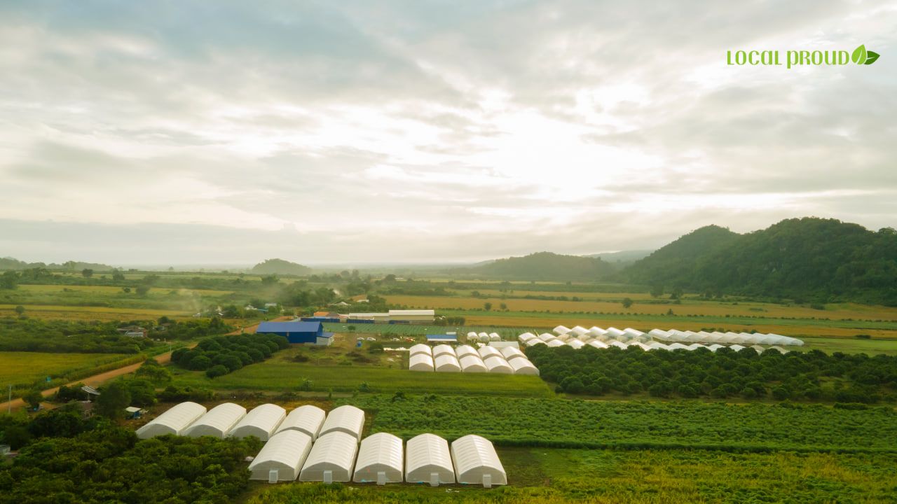 Photo 2025 11 12 16 52 46