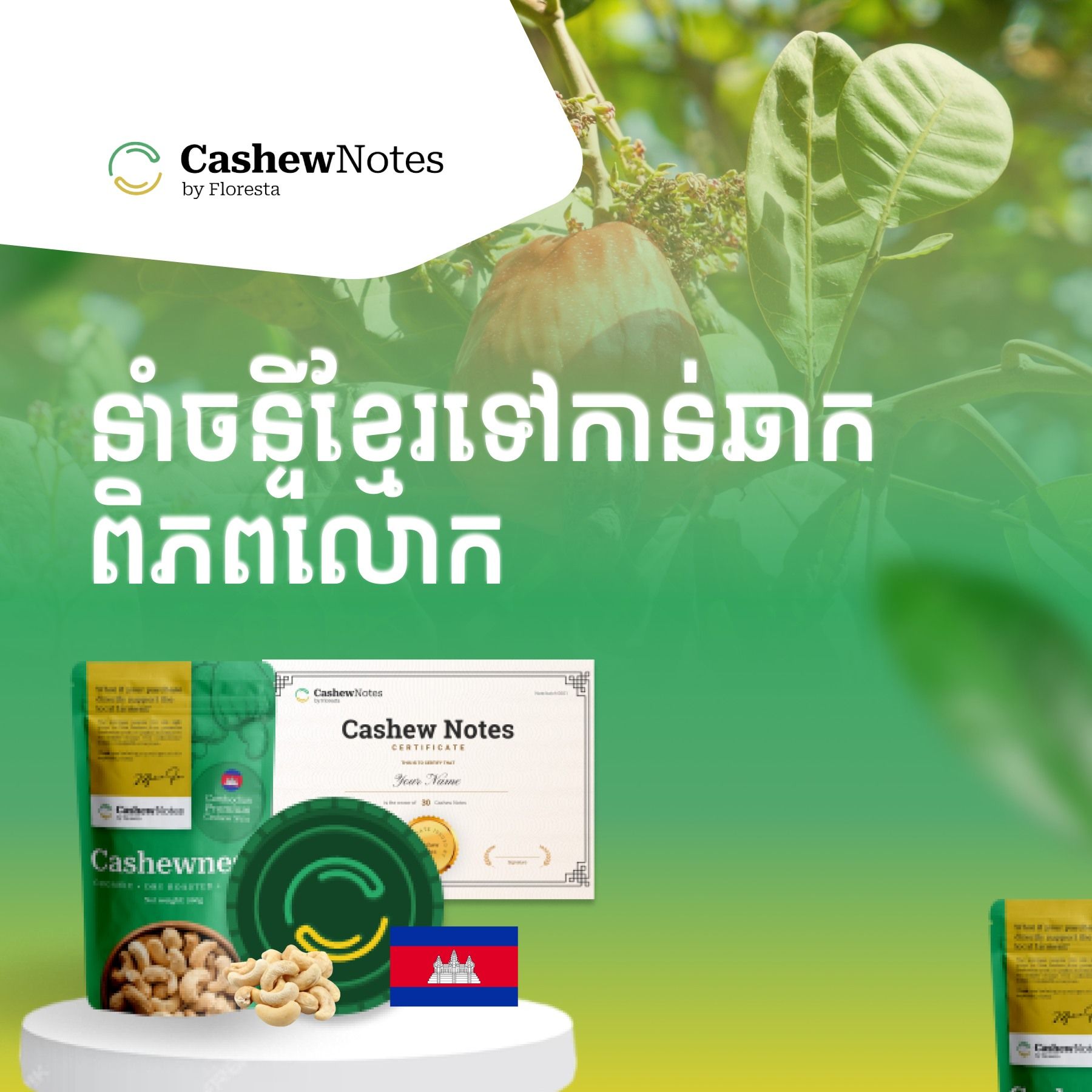 429684932 122112261956216707 4318164962300973501 N