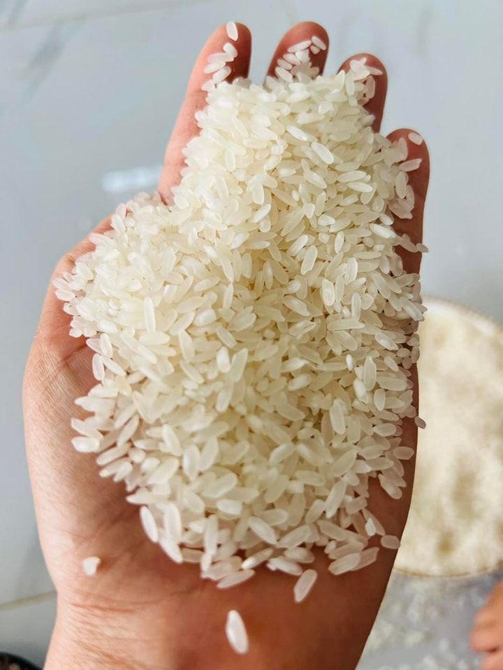 336907649 132833752892531 3516760136907926161 N