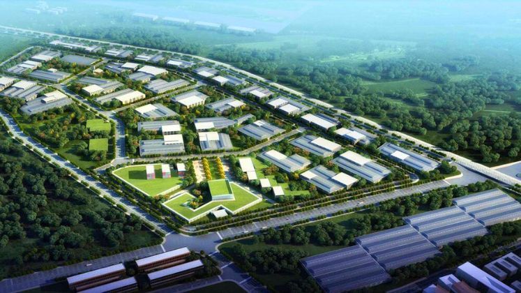 Bangladesh to Focus on Single Economic Zone