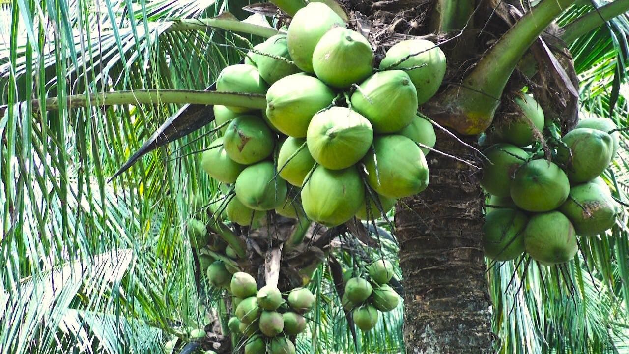ឃ