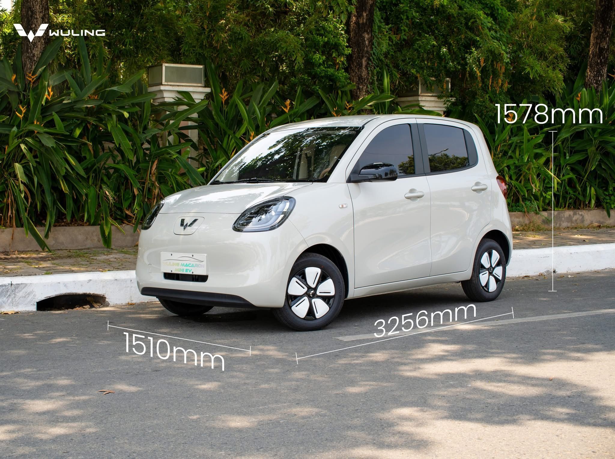 6b427976 2d04 481a A936 7389ffc4ec75.jpeg